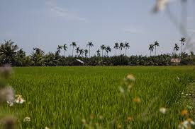 Hanoi Countryside Bicycle Tour Van Huong Tho Ha Village 1 Day